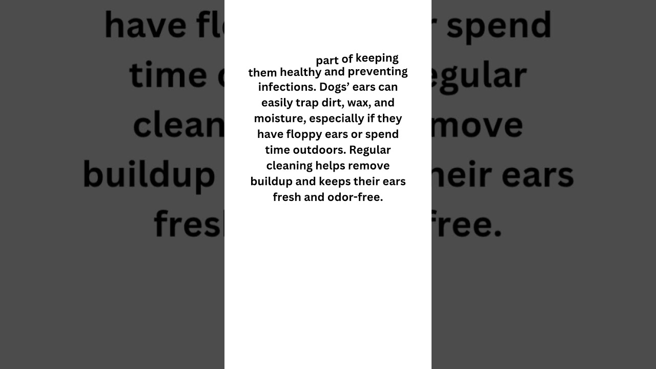 Dog Ear Cleaning Made Easy Simple Pet Care Tips for Healthy Ears #shorts
