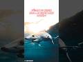 Le REQUIN le plus RAPIDE du monde !