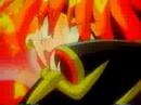Serious Slayers AMV