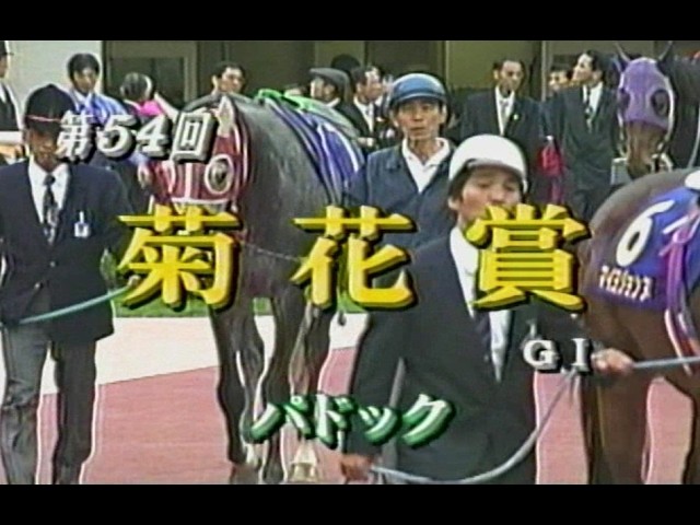 4Kリマスター】1995年 阪神3歳牝馬ステークス（GⅠ） | ビワハイジ