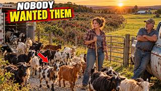 They Called Her Goats Worthless — Until Those $14.50 Animals Saved 47 Acres of Pasture