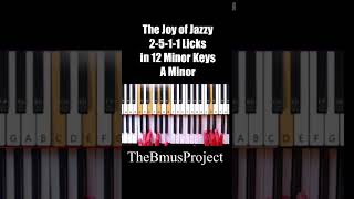 2-5-1-1 Licks - in A minor from The Joy of Jazzy collection #jazzpiano #pianotutorial #jazzhop