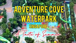 ADVENTURE COVE WATERPARK Singapore