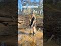 Aussie bush walks #adventure #bush #kids #family #dog #horse