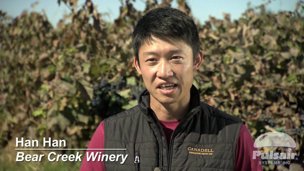 Wine Tank Agitator/Mixer | Bear Creek Winery | Pulsair Systems Air Mixing Wine