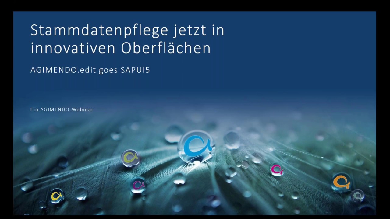 Stammdatenpflege jetzt in innovativen Oberflächen: AGIMENDO.edit goes SAPUI5