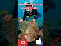 “Trapped on the Ocean Floor… Until Help Arrived”#RescueSoulsNetwork#viralvideo#wildliferescue