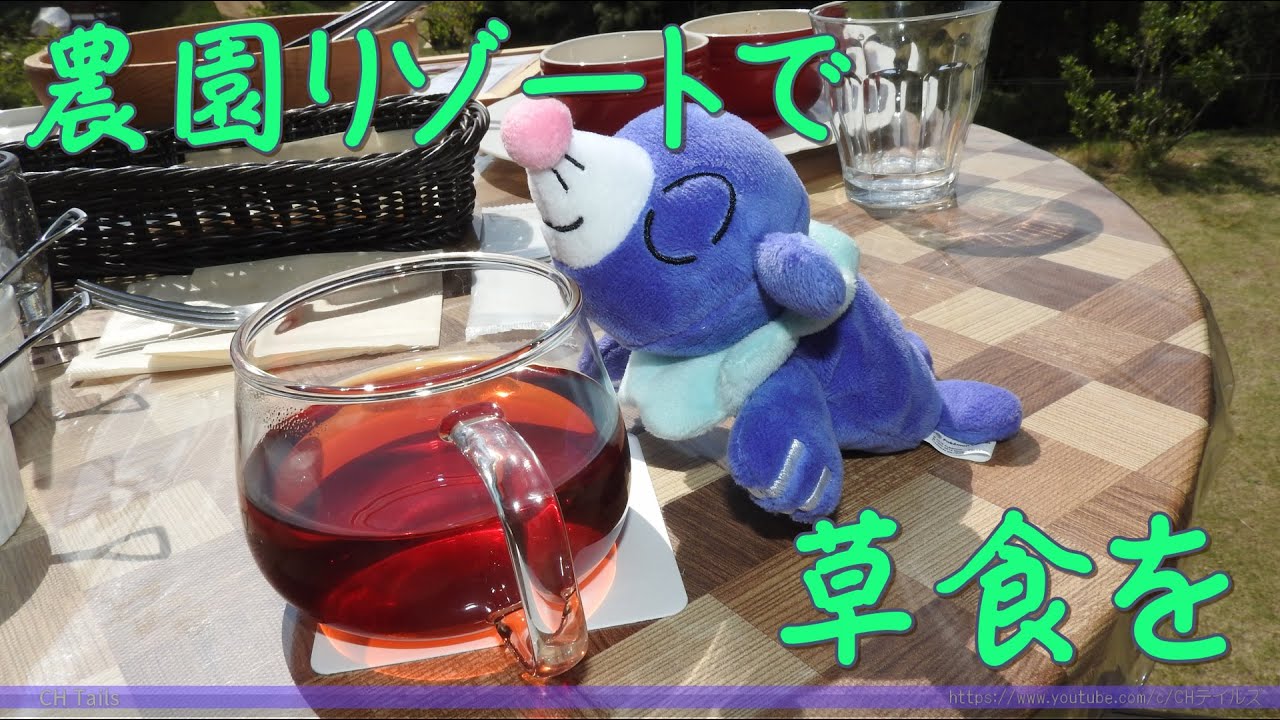 ポケモンぬいぐるみ紀行 農園リゾートで草食を Youtube