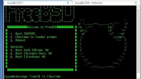FreeBSD BHyVe Live Demo(No sound)