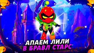 ✅ЛИЛИ В BRAWL STARS! АПАЕМ ЛИЛИ НА 35 РАНГ И ПОЛНЫЙ РАЗБОР НОВОГО БОЙЦА!