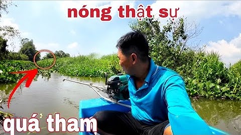 2 thằng đặt chung luồng LỜ,,của vũ thì mất hết,,nó còn y thin