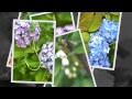 別れのルンバ 2014/06/03