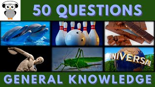 General Knowledge Quiz Trivia #72 | Dolphin, Bowling, Milk chocolate, Grasshopper, Universal Studio screenshot 4