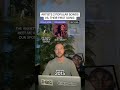 Artists 2 Popular Songs Vs. Their First Song: Willow #shorts