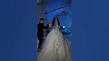 ستوريات شيلوها بعيونكم 