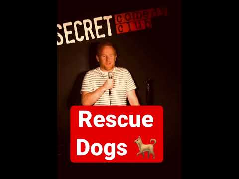 Rory o Hanlon - Rescue Dogs