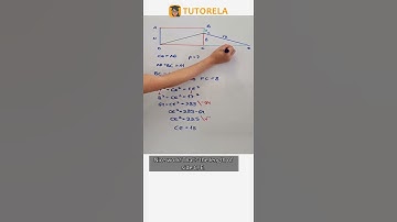 Solve the Rectangle Perimeter: CE = AB #Math #Rectangles #PerimeterOfARectangle