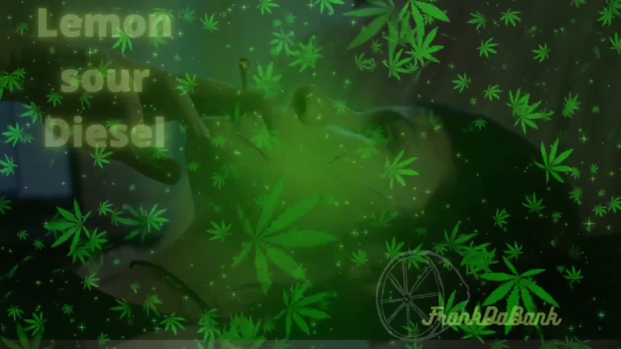 FrankDaBank - Lemon Sour Diesel Visualizer