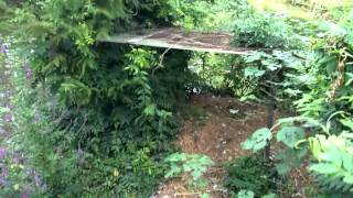 Новый   WP 20140810 18 24 34 Pro