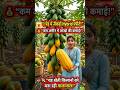 Hybrid Papaya Farming 😱 | 1 पेड़ में सैकड़ों पपीते! 🔥 #Shorts #viral #papayafarming #smartfarming