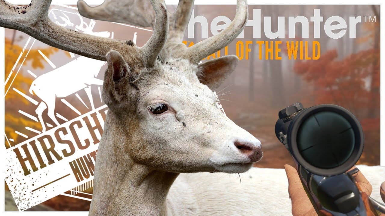 ERSTER RARE und sehr viel Jagddruck Hirschfelden Missionen Guide 9 theHunter Call of the wild