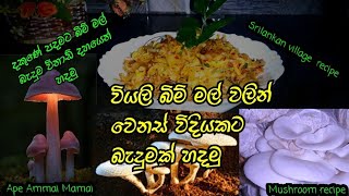 viyali Bimmal Baduma වියලාගත් බිම් මල් බැදුම  mushroom recipe - ape  ammai mamai