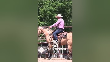 From the collection:  How To Teach a Horse To Work the Flag Part 3