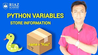 Python Variables Explained | Store Information in Your Programs | Beginners