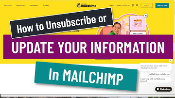 MailChimp Tutorial 2024: How to Update Your Newsletter Information