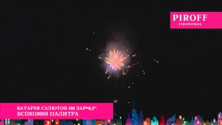 БСП0110008 ПАЛИТРА