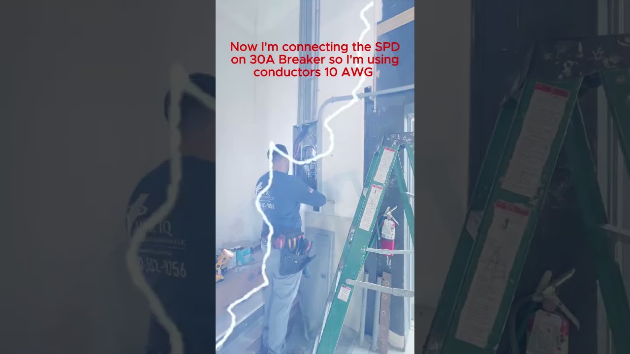 Alexandria Market Commercial Job in Orlando FL