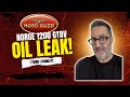 2012 Moto Guzzi Norge - Oil Leak Found?