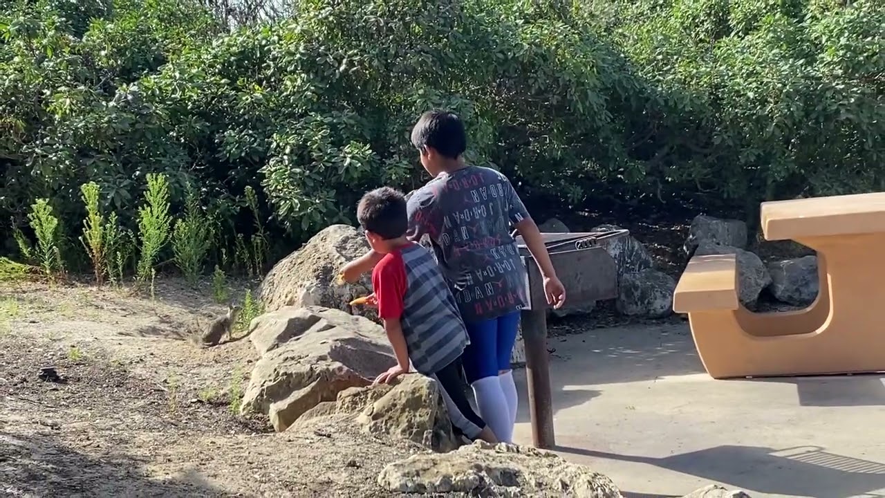 I got to feed a squirrel straight from my hand !!