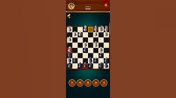 Chess.com | Chess playing #chessgrandmaster #games #relaxingbath #chessmaster #sindhikafi #chess