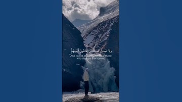 أكتب شيئا تؤجر عليه #تلاوة_خاشعة #اكسبلور #قران_كريم #tilawatequran #تلاوة #راحة_نفسية