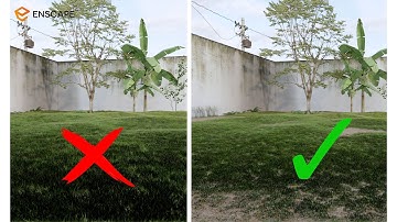 ✅ CỎ VÀ SETTING ÁNH SÁNG NGOẠI THẤT ENSCAPE SKETCHUP | LTA DESIGN