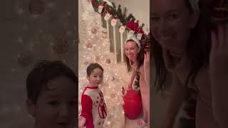 HAVE YOU HEARD OF THE CHRISTMAS PICKLE?🎄 This is a fun family tradition to start! #shortsmas