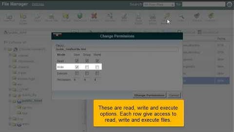 How to change file permissions with File Manager