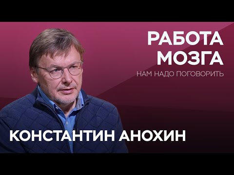 Как связаны мозг, сознание и душа / Константин Анохин // Нам надо поговорить