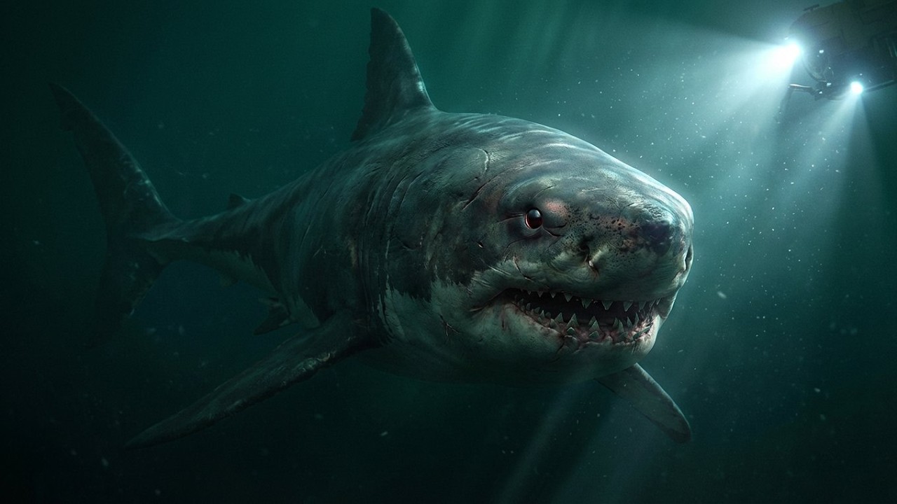 Мегалодон | Морское Чудовище, Которое Наука Не Может Объяснить