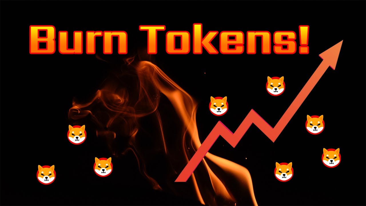 shiba inu crypto coin burn