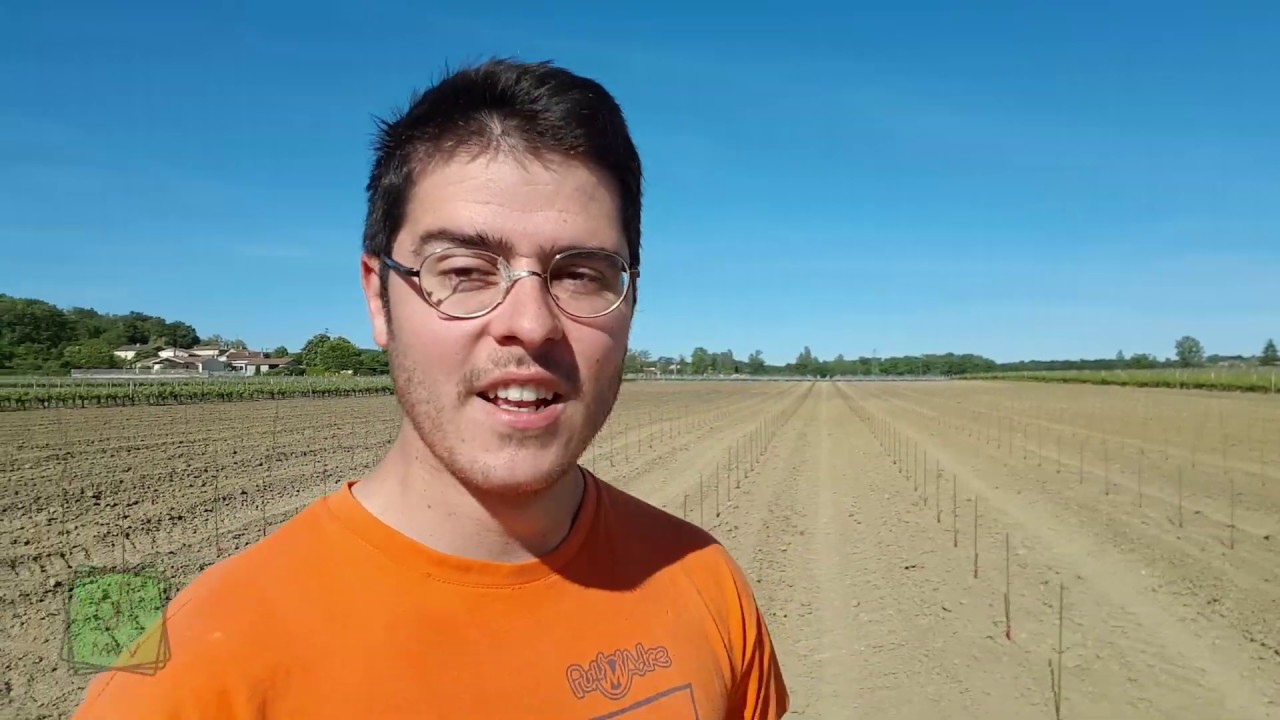MA VIE DE VIGNERON - LA PLANTATION