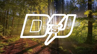 Sdms, Bran & Snavs Mix Dj Santos