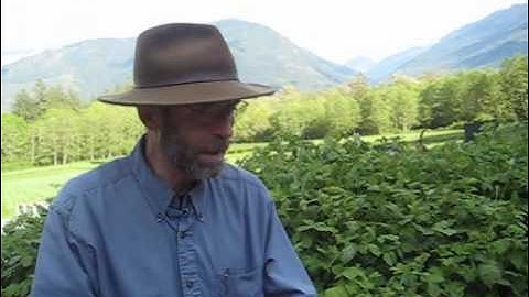 Ask The Farmer: How Do I Control Weeds in an Organic Garden?