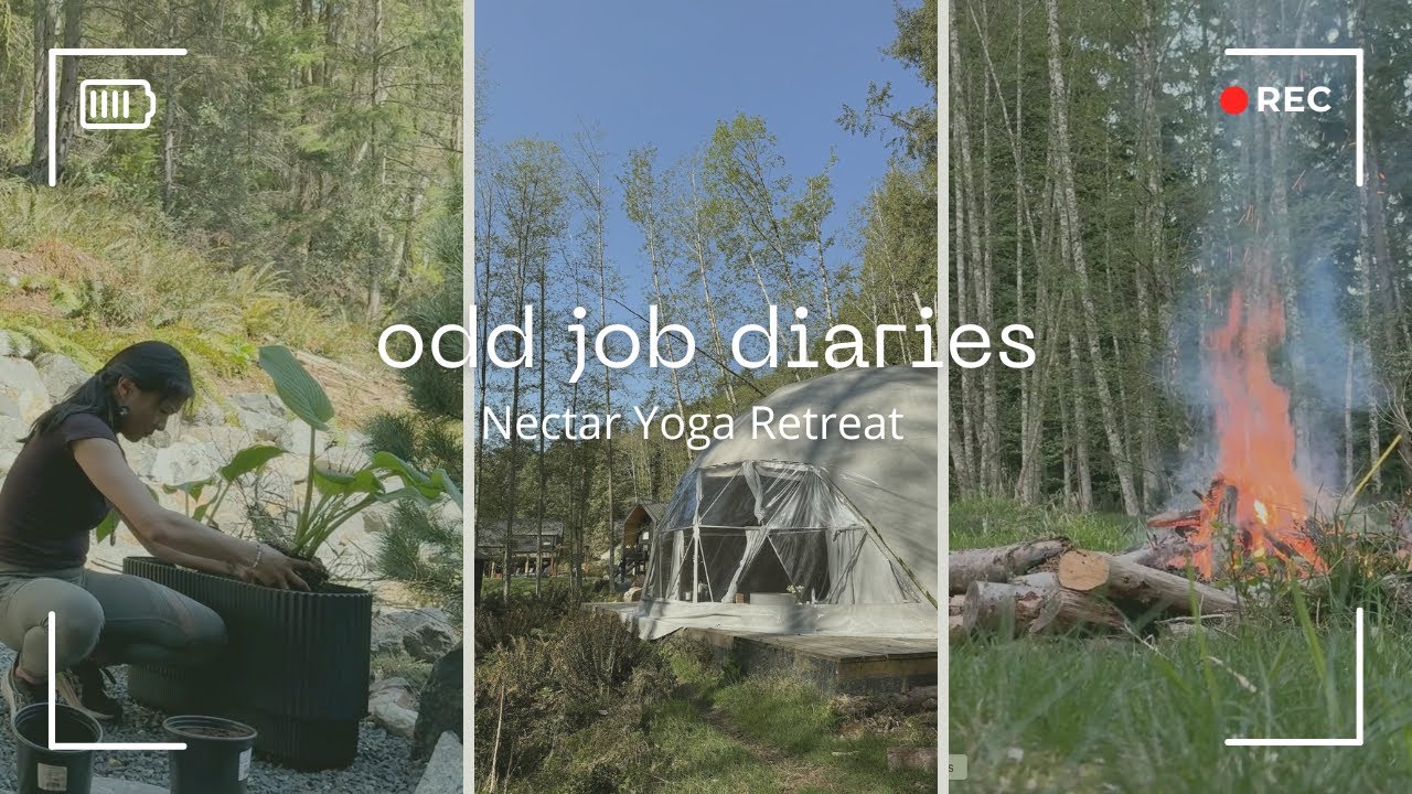 odd job diaries: Working at a Yoga Retreat on Bowen Island