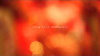 Modern East Indian Wedding Video In Toronto and Ottawa Modern East Indian Wedding Video In Toronto and Ottawa
