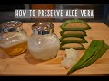 How To Preserve Aloe Vera | Aloe Vera Gel Storage