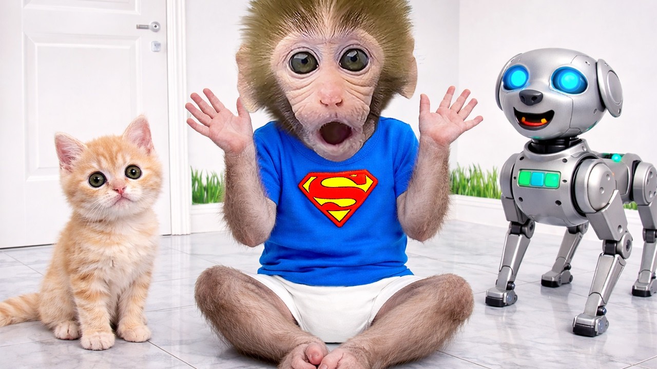Monyet Bonbon dan anjing robot menyelamatkan bayi monyet dari monyet penyihir