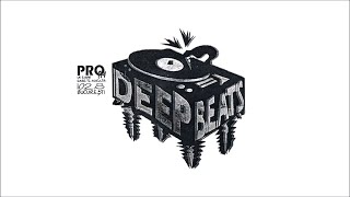 90's Underground & Rare Hip Hop - DEEP BEATS w/ DJ SLEEK @ PRO FM / 1999