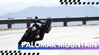 Ducati Motorcycles, Sunny Weather, and Epic Views! – Palomar Mountain